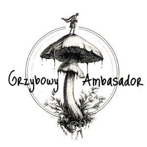 Grzybowy Ambasador